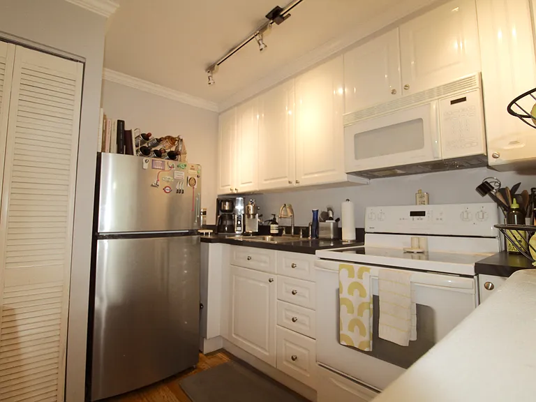1455 N Sandburg Ter #203 — Photo 11