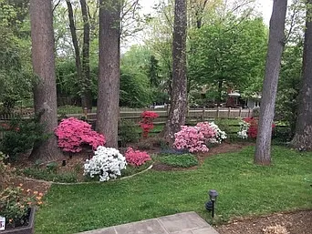 Woolsey Dr — Photo 24