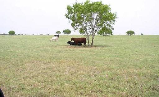 2nd image of 00 S CR 331