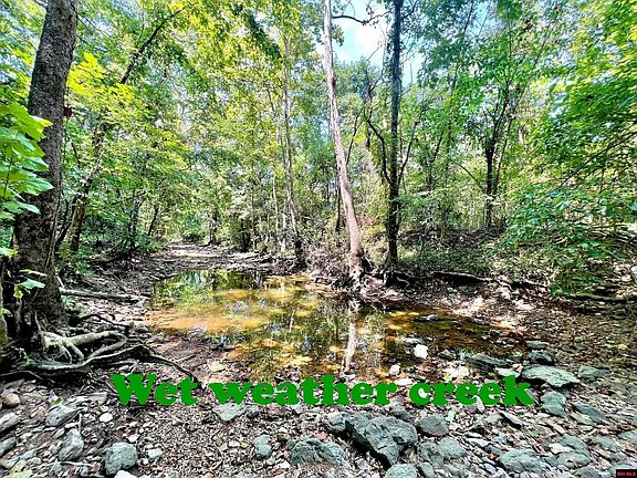 4th image of 241 County Road 612