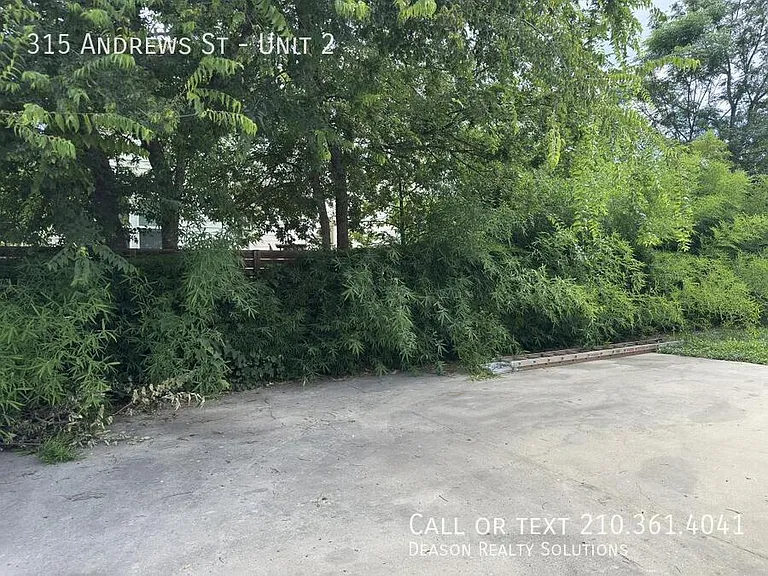 315 Andrews St #2 — Photo 11