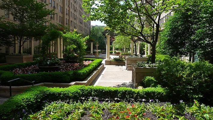 Rented by The Royse Group | media 11