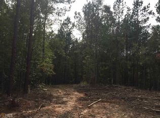 0 Highway 5 Tract #2, Whitesburg, GA 30185