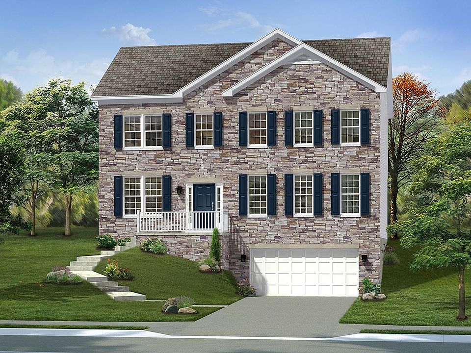 Elevation 5