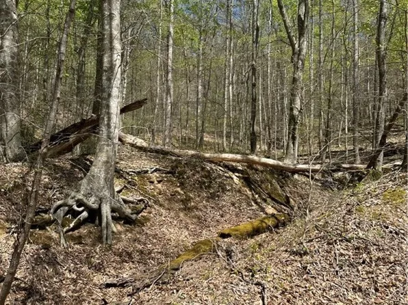 1 Sugar Tree Rd, Alkol, WV 25501