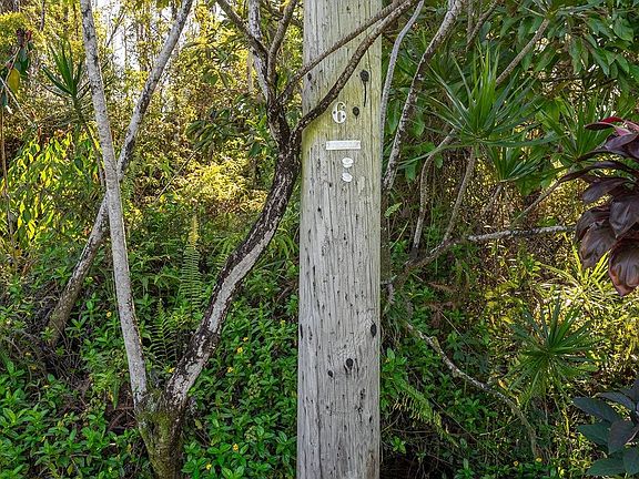 4th image of 26th Ave Lot 858