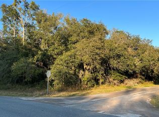 1689 W Saint Elizabeth Pl, Citrus Springs, FL 34434