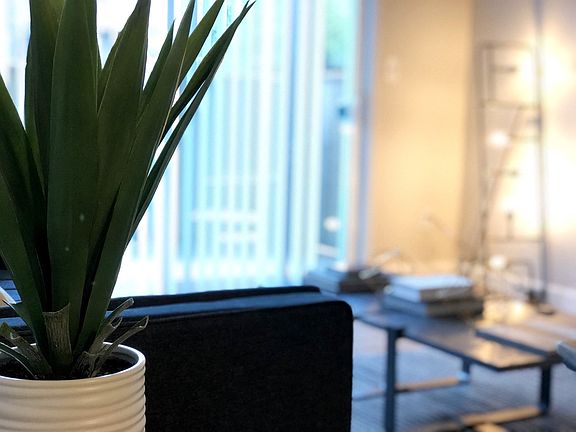 98Hundred Apartments Model Living Room Plant