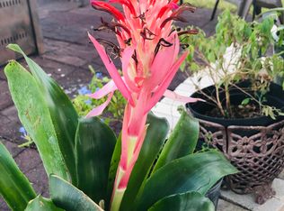 12748 Ivory Stone Loop, Fort Myers, FL 33913