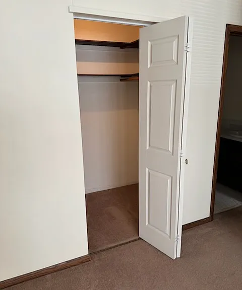 Walk-in closet