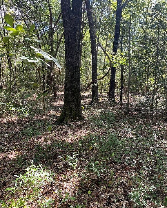 1st image of 1744 County Road 57 Rd