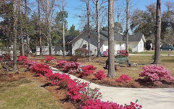 3rd image of 4 Andre Michaux Rd