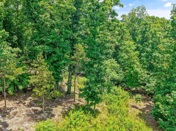 1499 Dogwood Valley Rd, Kingston, TN 37763