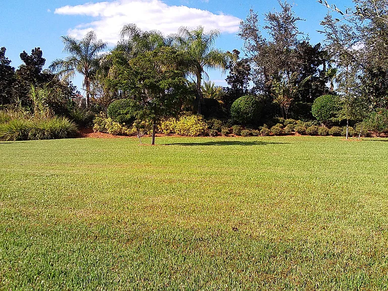 7615 Camminare Dr — Photo 14