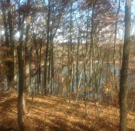 4th image of 5723 Deer Dr
