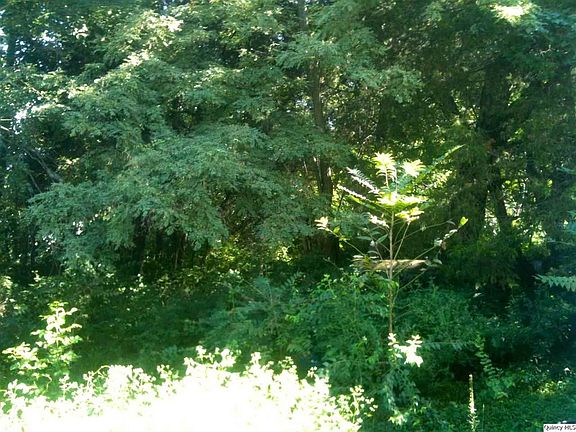 Home for Sale in Quincy, IL $32,000