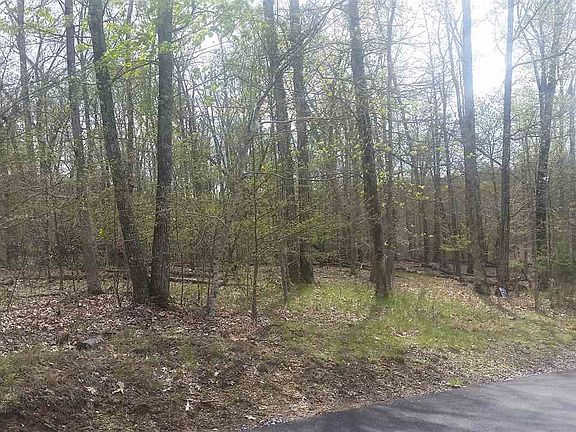 3rd image of 1329 Muskogee Dr