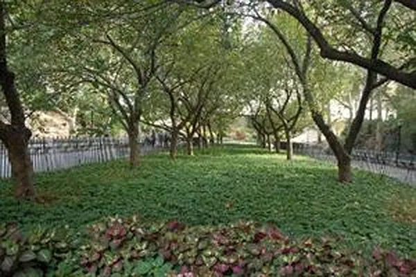 Sold by Douglas Elliman | media 14