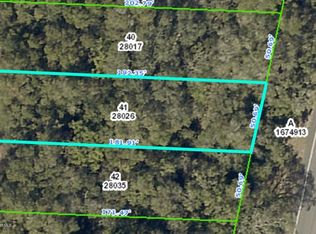 0 Treiman Blvd, Webster, FL 33597