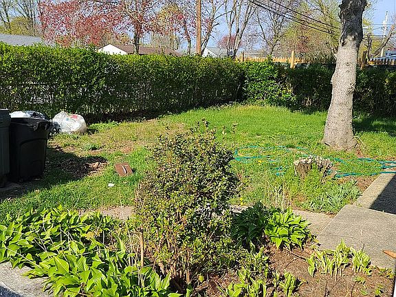 Front yard, hedges}privacy