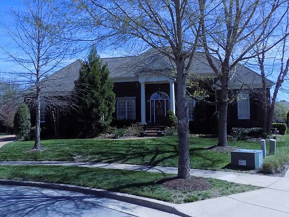 Trees in front yard