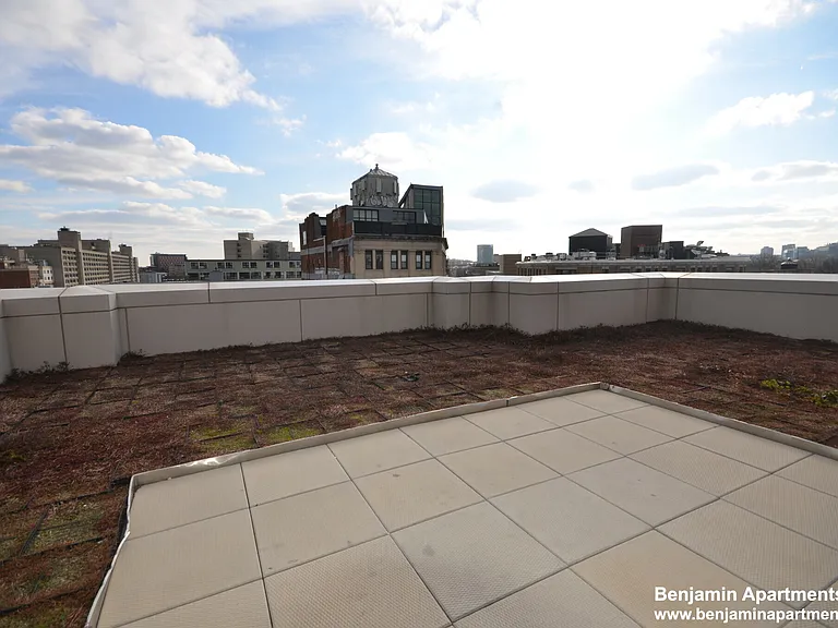 1085 Boylston St #301 — Photo 8