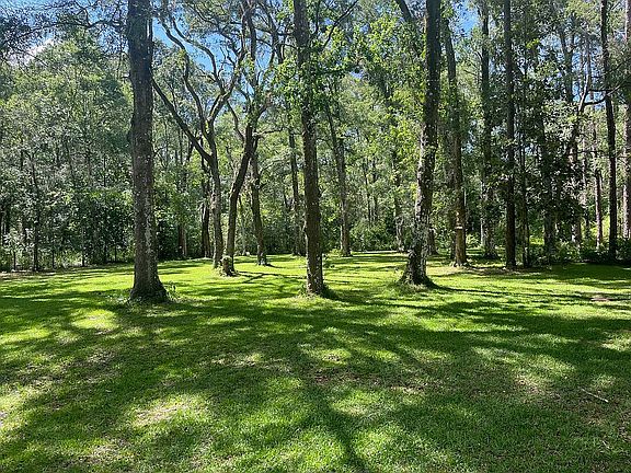 4th image of 34825 Hillock Dr
