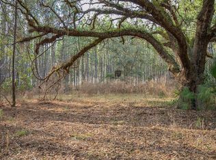 8141 Pretty Pond Ln, Perry, FL 32348