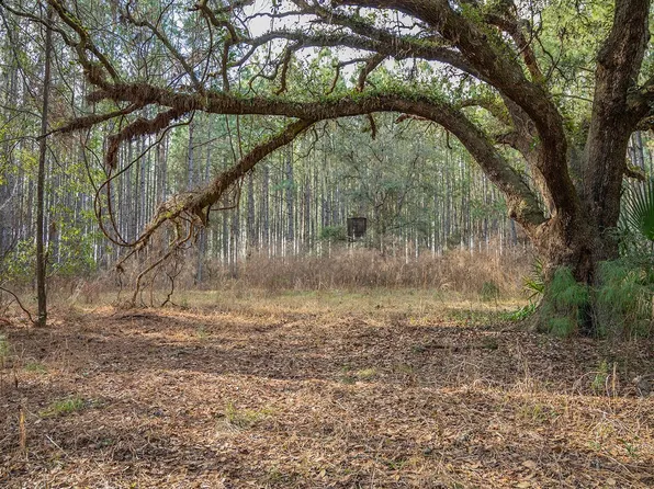 8141 Pretty Pond Ln, Perry, FL 32348