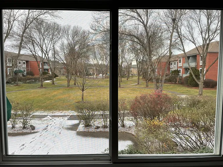 View of Courtyard from Master Bedroom