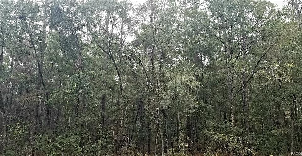 2nd image of 8899 N Sawyer Ter