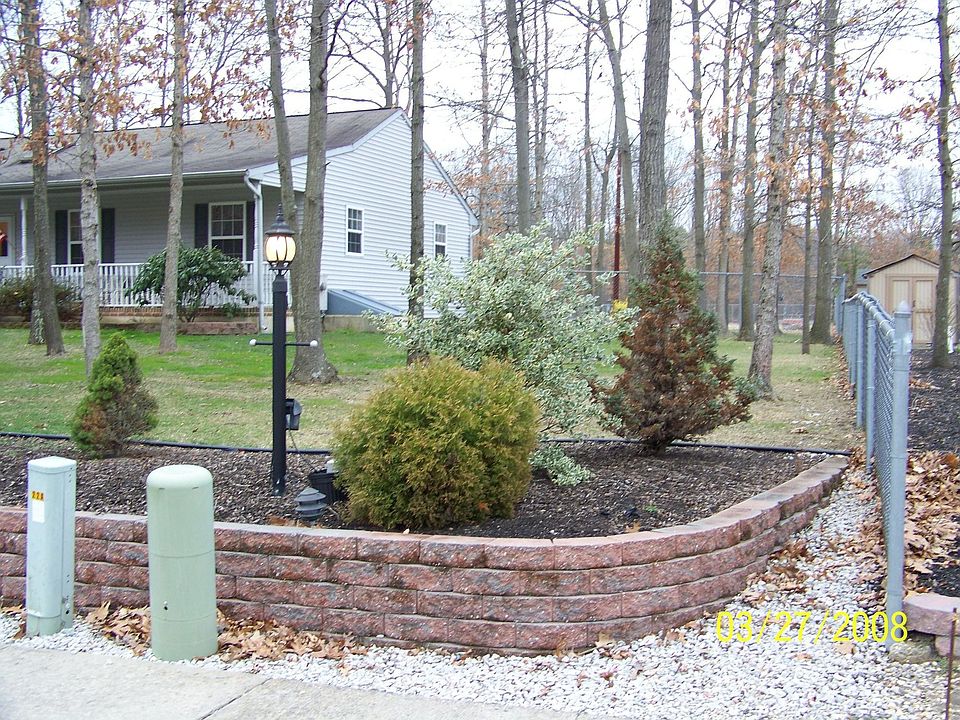 Side View