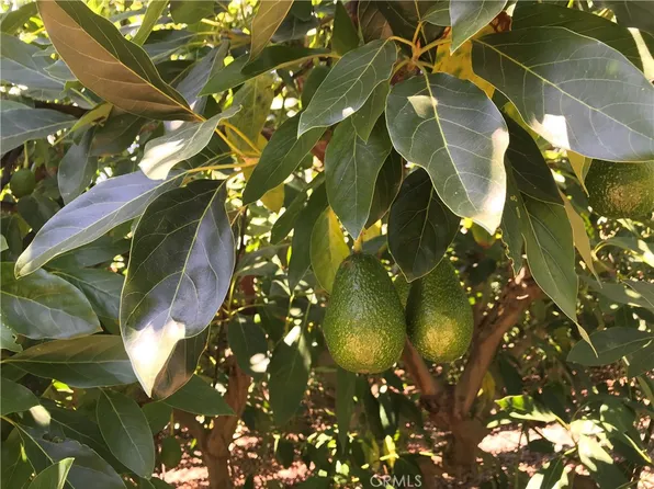 0 Casalero Dr, Temecula, CA 92590