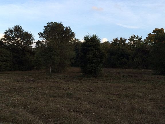 5th image of 0000 Old Dade City