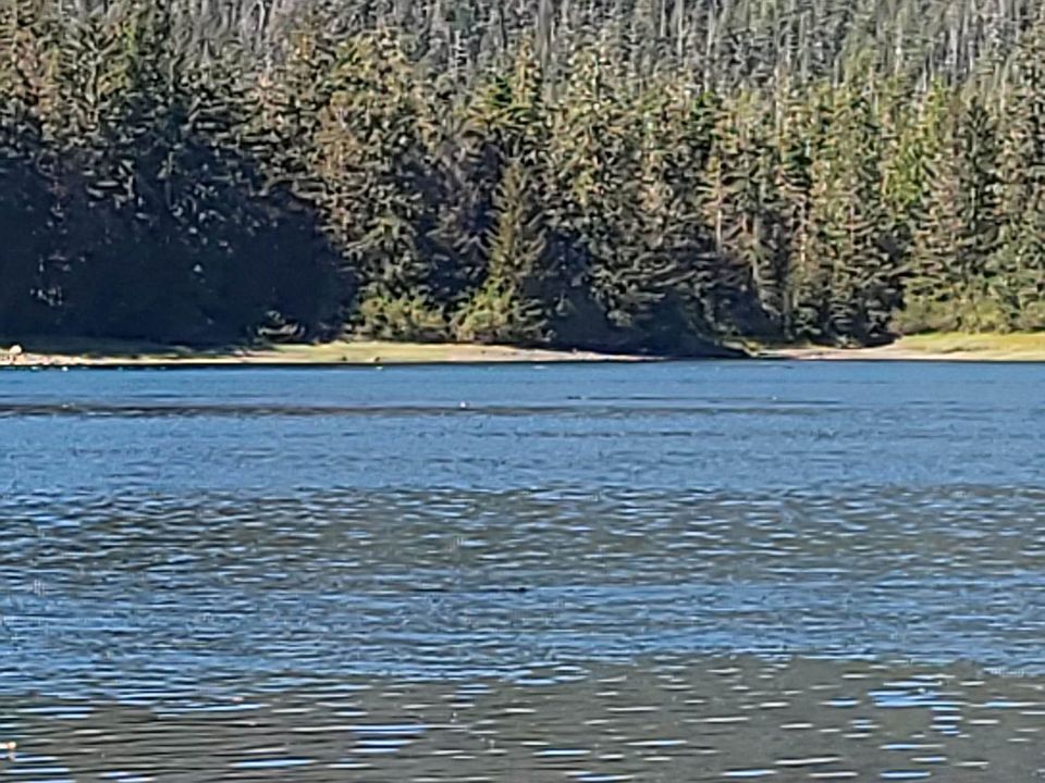1st image of 12 Wrangell Only