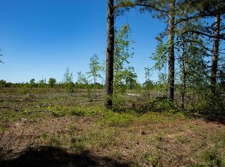 4-004 State Highway 171, Bartow, GA 30413