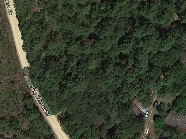 419 Gary Hallman Cir, Leesville, SC 29070