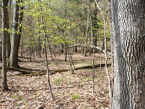 4th image of Cove Point Cir
