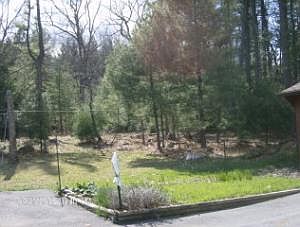 2nd image of 16315 Coudersport Lck
