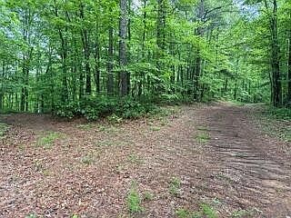5th image of 0 Woodsong Haven Ln