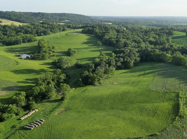 117.25 Acres Hwy #79, Louisiana, MO 63353