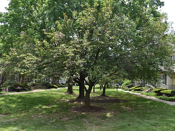 Front Yard View
