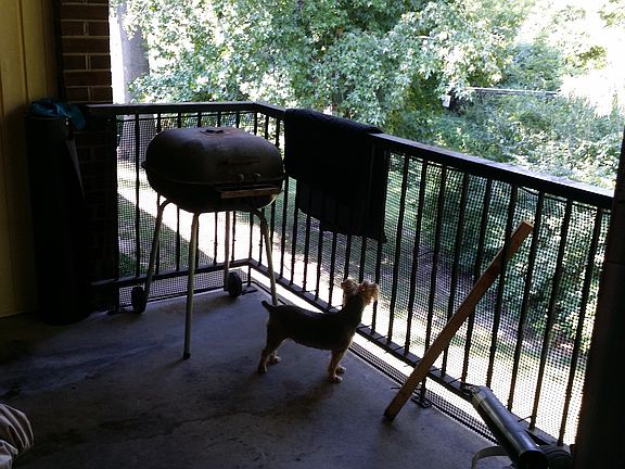 4th image of 7559 Hazelcrest Dr Unit 142