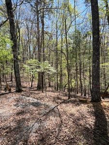 LOT 1014 Gibe Ct, Ellijay, GA, 30540