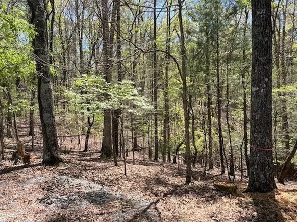 LOT 1014 Gibe Ct, Ellijay, GA 30540