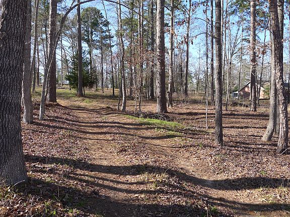2nd image of 31.6 Acres On An Co Road 330