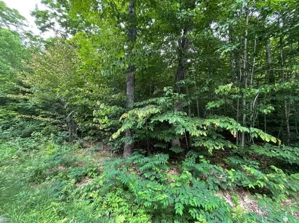 400 Plot Road, Johnson, VT 05656