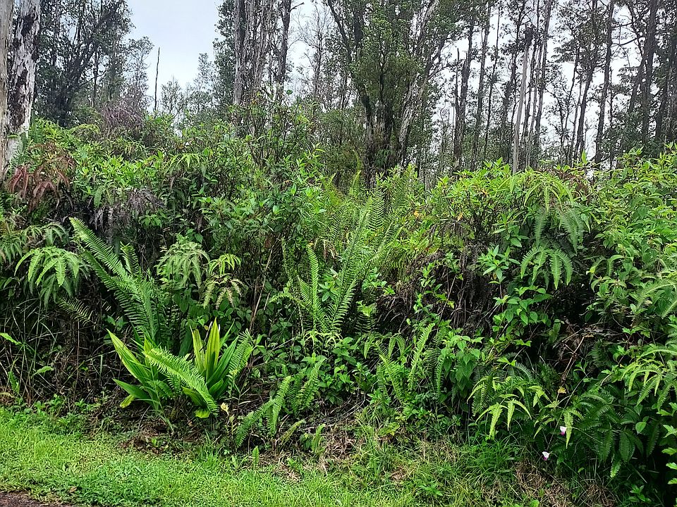 1st image of Road 9 Koloa Maoli Lot 5380