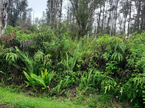 Road 9 Koloa Maoli Lot 5380, Kurtistown, HI 96760