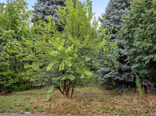 411 King St, Detroit, MI 48202